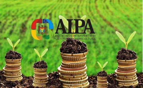AIPA одобрило выплаты субсидий на 64 миллиона леев - agroexpert.md
