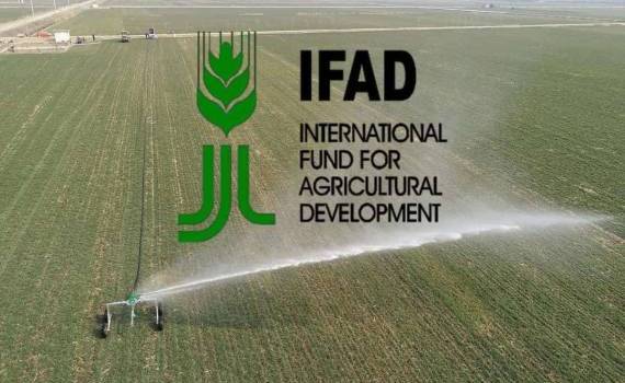Минсельхоз и IFAD предложили новые гранты и кредиты для фермеров - agroexpert.md