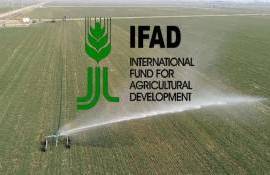 Минсельхоз и IFAD предложили новые гранты и кредиты для фермеров - agroexpert.md