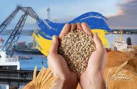 Украинский экспорт зерновых в 2024/25 МГ может показать худшие результаты - agroexpert.md