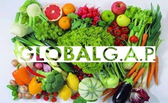 Молдавские садоводы обучаются стандартам для экспорта в ЕС - agroexpert.md
