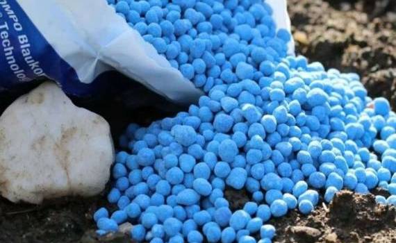 Цены на удобрения будут расти в 2025 году - agroexpert.md