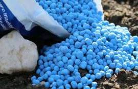 Цены на удобрения будут расти в 2025 году - agroexpert.md