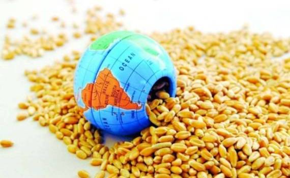 Мировые рынки зерна реагируют на сокращение импорта пшеницы Китаем - agroexpert.md