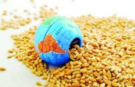 Мировые рынки зерна реагируют на сокращение импорта пшеницы Китаем - agroexpert.md