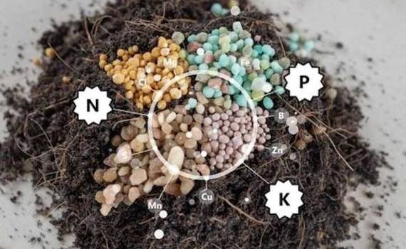 Îngrășămintele NPK: prețul  - agroexpert.md