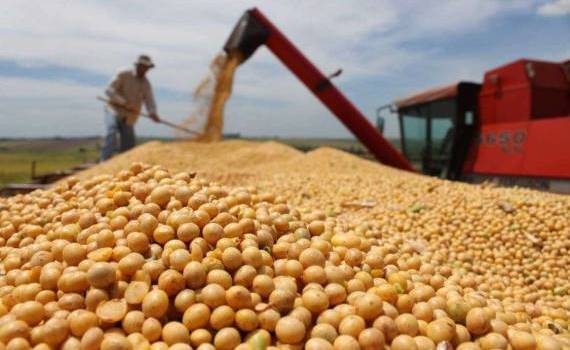 Китай сможет обойтись без американской агропродукции: есть альтернатива - agroexpert.md