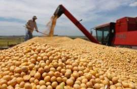 Китай сможет обойтись без американской агропродукции: есть альтернатива - agroexpert.md