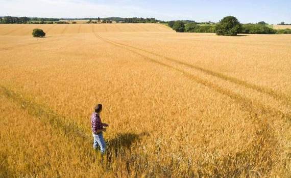 Raportul Corteva: Inovația accelerează o agricultură mai sustenabilă - agroexpert.md