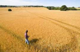 Raportul Corteva: Inovația accelerează o agricultură mai sustenabilă - agroexpert.md