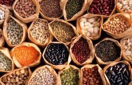 Noi reglementări pentru extinderea suprafețelor cultivate cu leguminoase - agroexpert.md