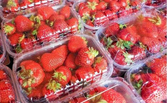 В молдавском ритейле местная клубника дороже импортной - agroexpert.md