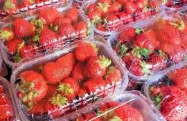 В молдавском ритейле местная клубника дороже импортной - agroexpert.md