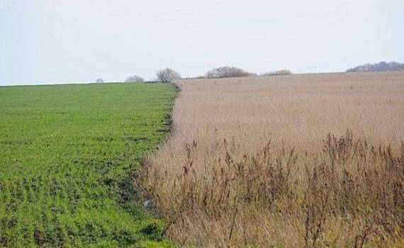 Необрабатываемые сельхозземли могут сдаваться в аренду - agroexpert.md