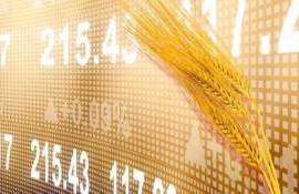 CME запустит новый контракт на черноморскую пшеницу в июне - agroexpert.md