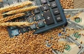Мировой рынок зерна: пшеница, кукуруза и соя подешевели во вторник - agroexpert.md