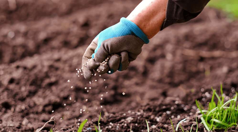 Prețul amestecului de uree și nitrat de amoniu - agroexpert.md