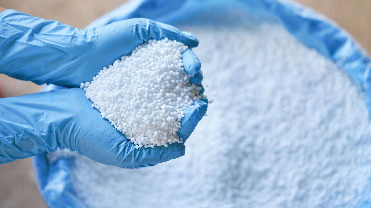 Tunisia oferă cel mai ieftin DAP - agroexpert.md