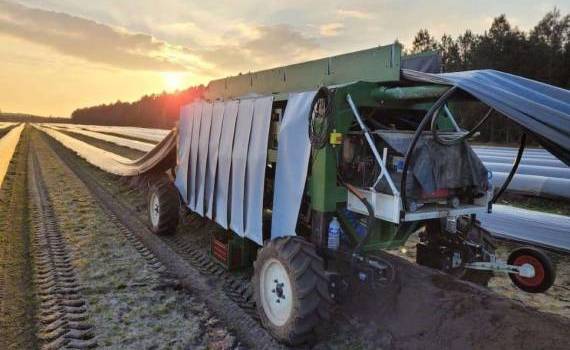Во Франции уборку спаржи переводят с ручного на автоматизированный режим - agroexpert.md