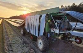 Во Франции уборку спаржи переводят с ручного на автоматизированный режим - agroexpert.md