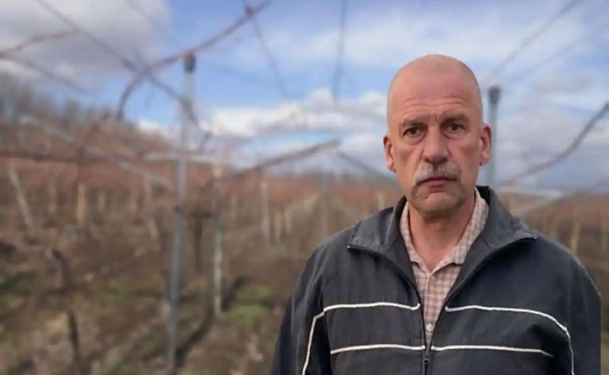 Виноградарям будет сложно оценить ущерб, нанесенный заморозками - agroexpert.md