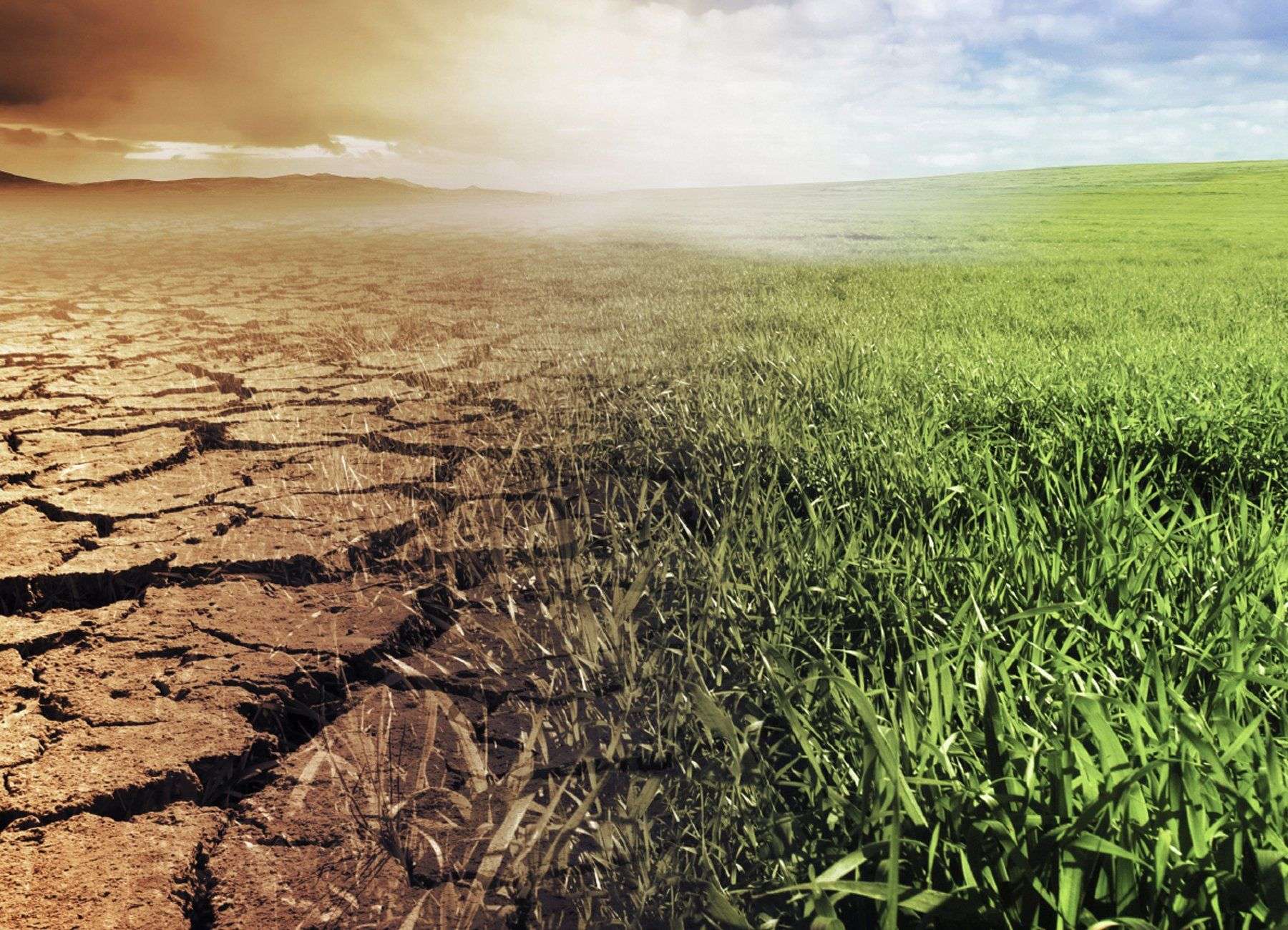Provocările pedoclimatice: Iată cu ce recomandări vin experții - agroexpert.md