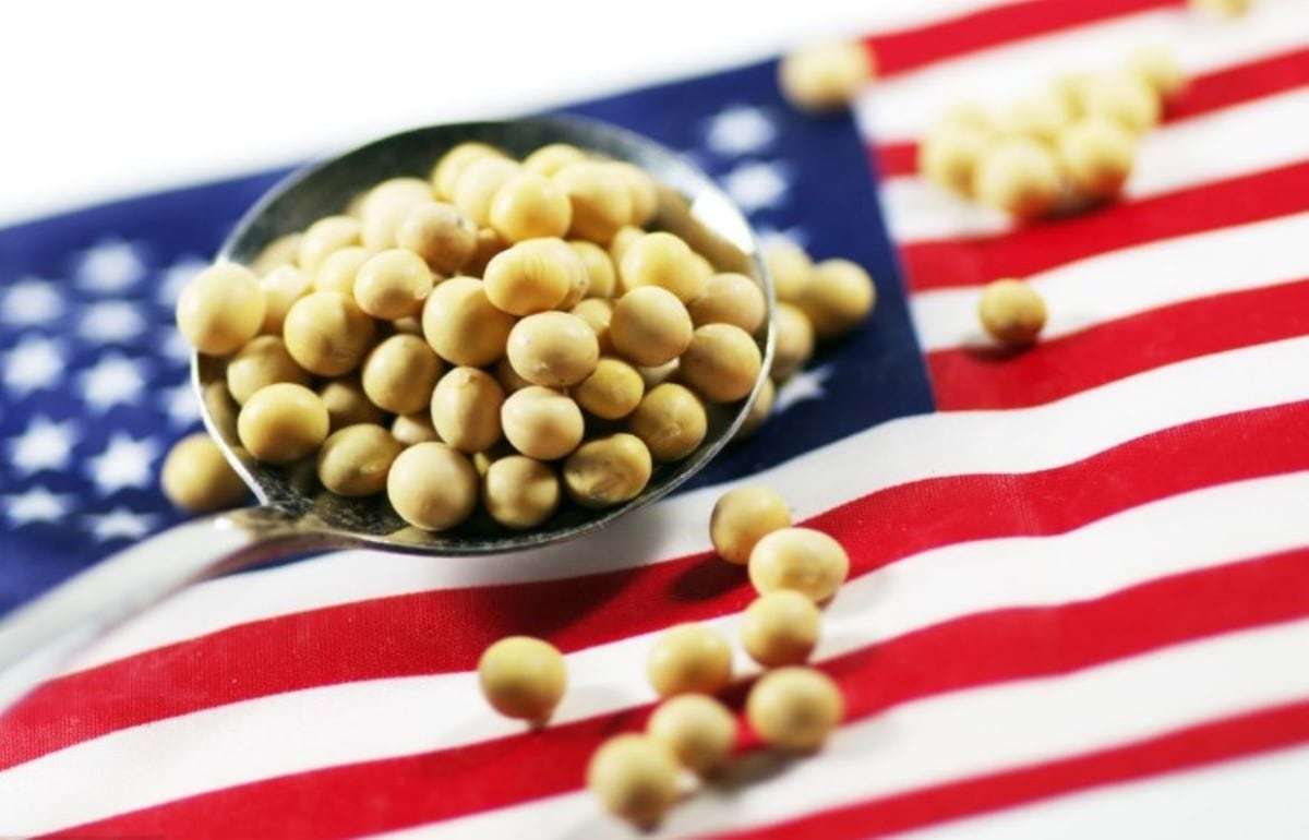 Большие закупки американской сои помогут ЕС снизить напряженность с США - agroexpert.md