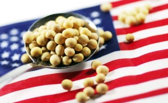 Большие закупки американской сои помогут ЕС снизить напряженность с США - agroexpert.md