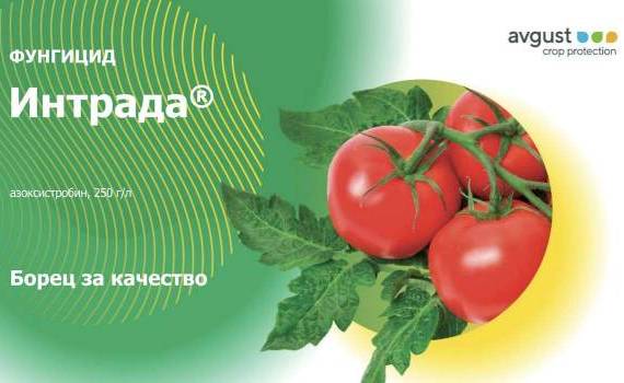 Интрада® СК – надежная защита от грибковых болезней с первого дня - agroexpert.md