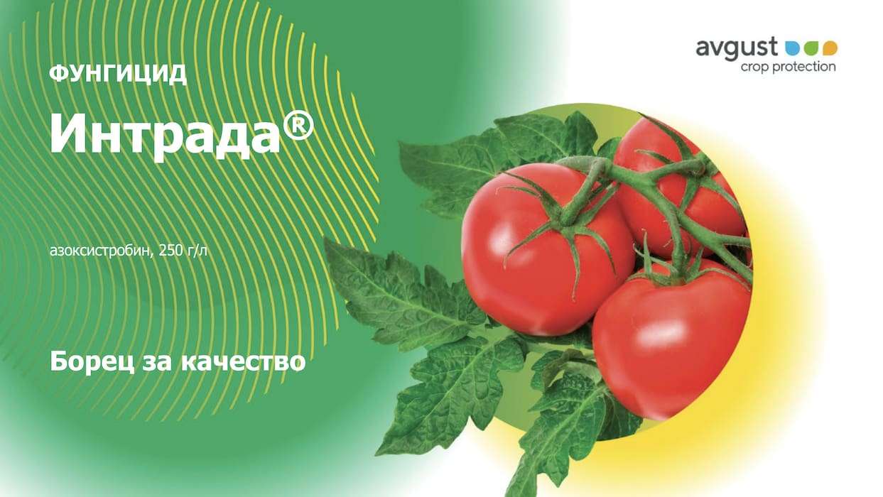 Интрада® СК – надежная защита от грибковых болезней с первого дня - agroexpert.md