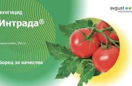 Интрада® СК – надежная защита от грибковых болезней с первого дня - agroexpert.md