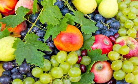 В 2024 году в Молдове минимальный урожай фруктов за 8 лет - agroexpert.md