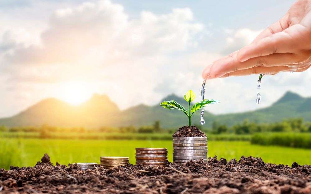 AIPA banii în aprilie subvenții - agroexpert.md