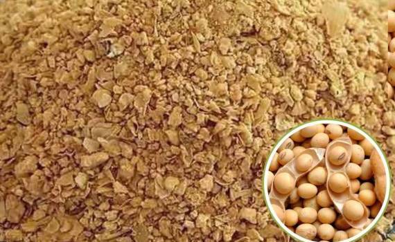 Китай планирует сократить использование соевого шрота в кормах - agroexpert.md
