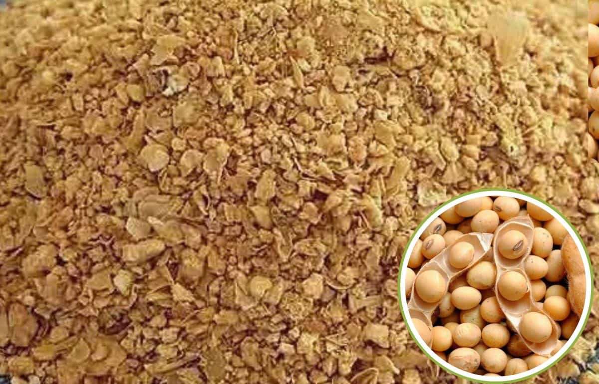 Китай планирует сократить использование соевого шрота в кормах - agroexpert.md