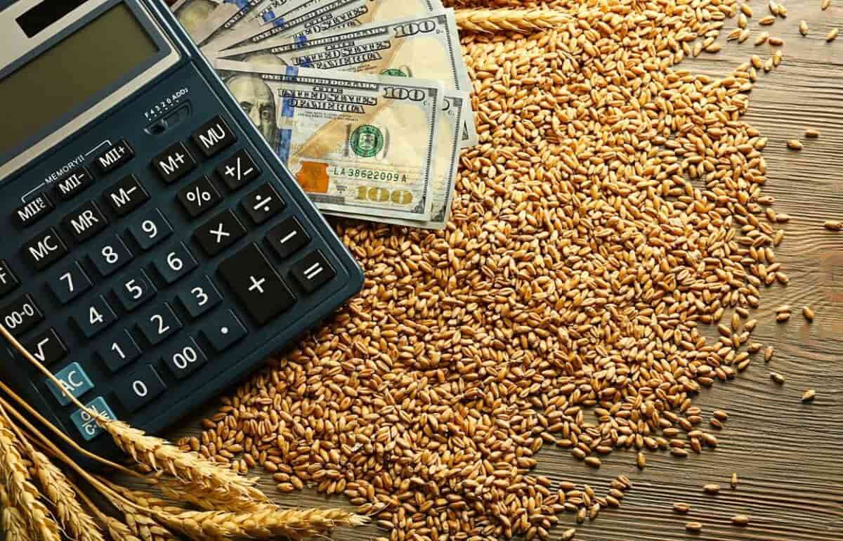 Благоприятная для сева погода снижает котировки пшеницы - agroexpert.md