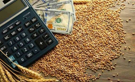 Благоприятная для сева погода снижает котировки пшеницы - agroexpert.md