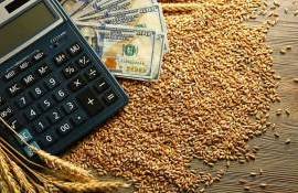 Благоприятная для сева погода снижает котировки пшеницы - agroexpert.md
