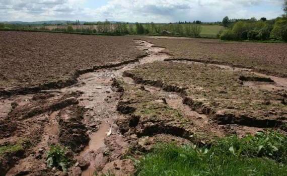Правительство утвердило меры по защите почвы от деградации - agroexpert.md
