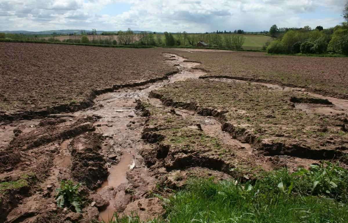 Правительство утвердило меры по защите почвы от деградации - agroexpert.md