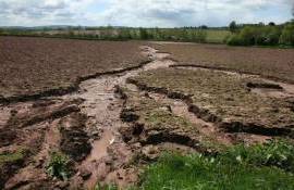 Правительство утвердило меры по защите почвы от деградации - agroexpert.md