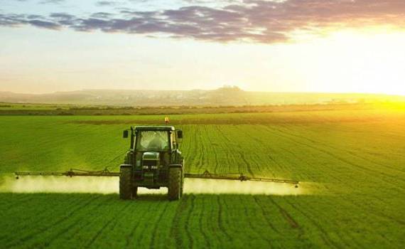 Fermierii din Nord, așteptați la AgroFin 2025 - agroexpert.md