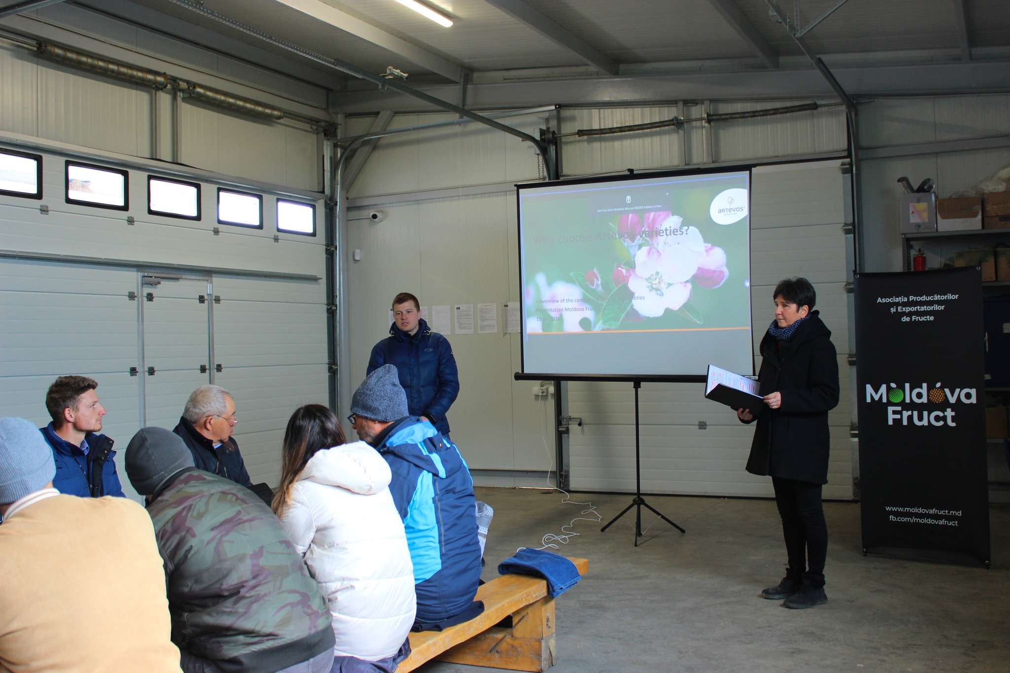 Soiurile Artevos: Oportunități pentru livezile din Moldova - agroexpert.md
