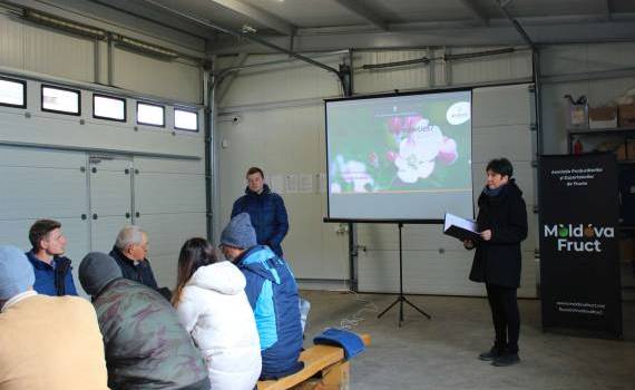 Soiurile Artevos: Oportunități pentru livezile din Moldova - agroexpert.md