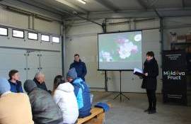 Soiurile Artevos: Oportunități pentru livezile din Moldova - agroexpert.md