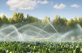 Cum se constituie o Asociație a Utilizatorilor de Apă pentru Irigații - agroexpert.md