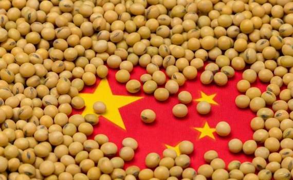 Китай активно наращивает импорт сои из Южной Америки - agroexpert.md
