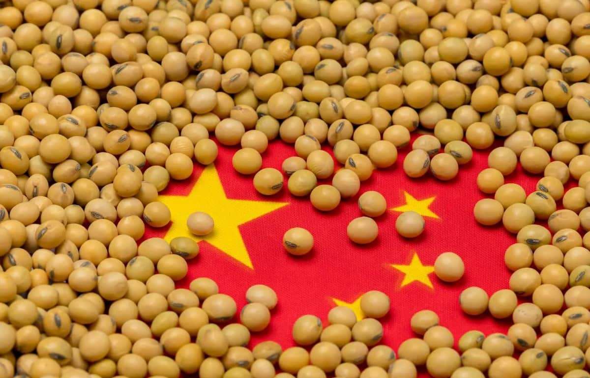 Китай активно наращивает импорт сои из Южной Америки - agroexpert.md