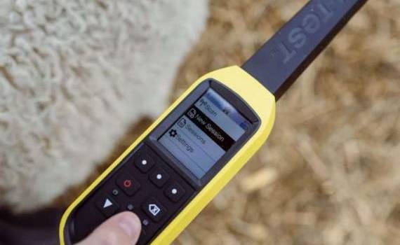 Trasabilitatea animalelor - agroexpert.md