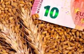 Европейский рынок пшеницы в пятницу: торги проходили осторожно - agroexpert.md